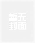 系统流小说网